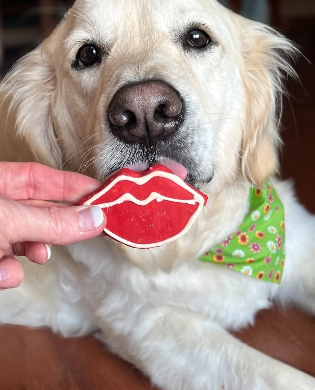 Brians Treats | 25 Schodel St, Woodridge QLD 4114, Australia | Phone: 0432 250 161