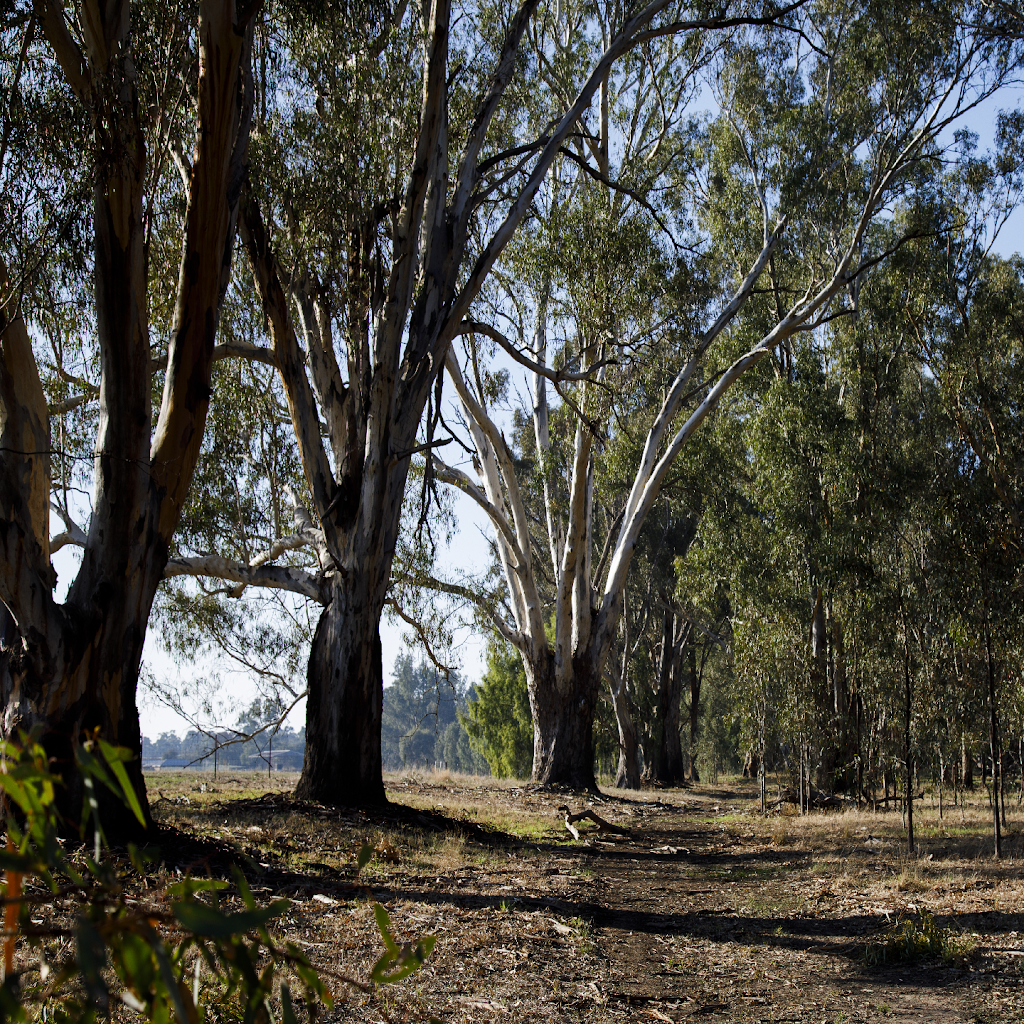 Archer Park Village | 800 Archer Rd, Kialla VIC 3631, Australia | Phone: 0427 353 265