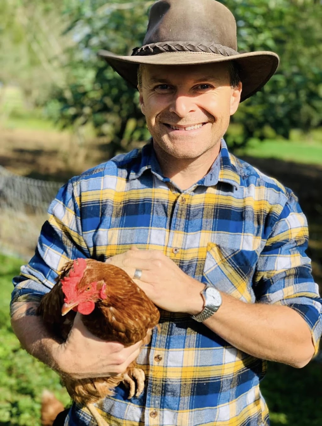 Cheeky Chooks Egg Farm | 37 Little Jilliby Rd, Little Jilliby NSW 2259, Australia | Phone: 0414 703 382