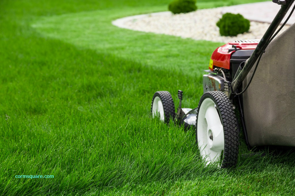 G2 Mowing |  | 15 Francis St, Swansea Heads NSW 2281, Australia | 0410567595 OR +61 410 567 595