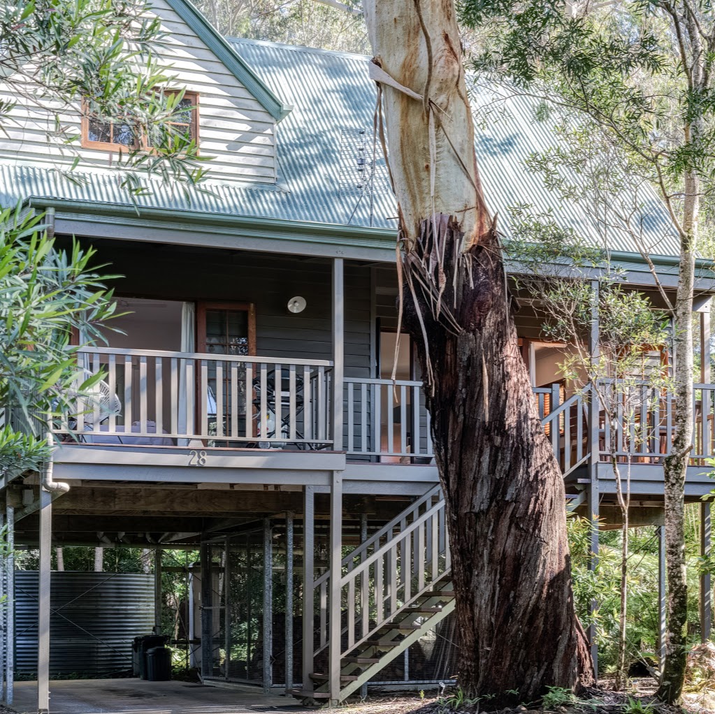 Lookout Lodge Luxury Rainforest Retreat | lodging | 28 Canyon Parade, Springbrook QLD 4213, Australia | 0419705682 OR +61 419 705 682