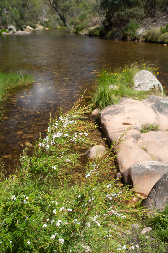 Bundarra River Picnic Area | park | Bundarra Road, Glen Valley VIC 3898, Australia | 131963 OR +61 131963