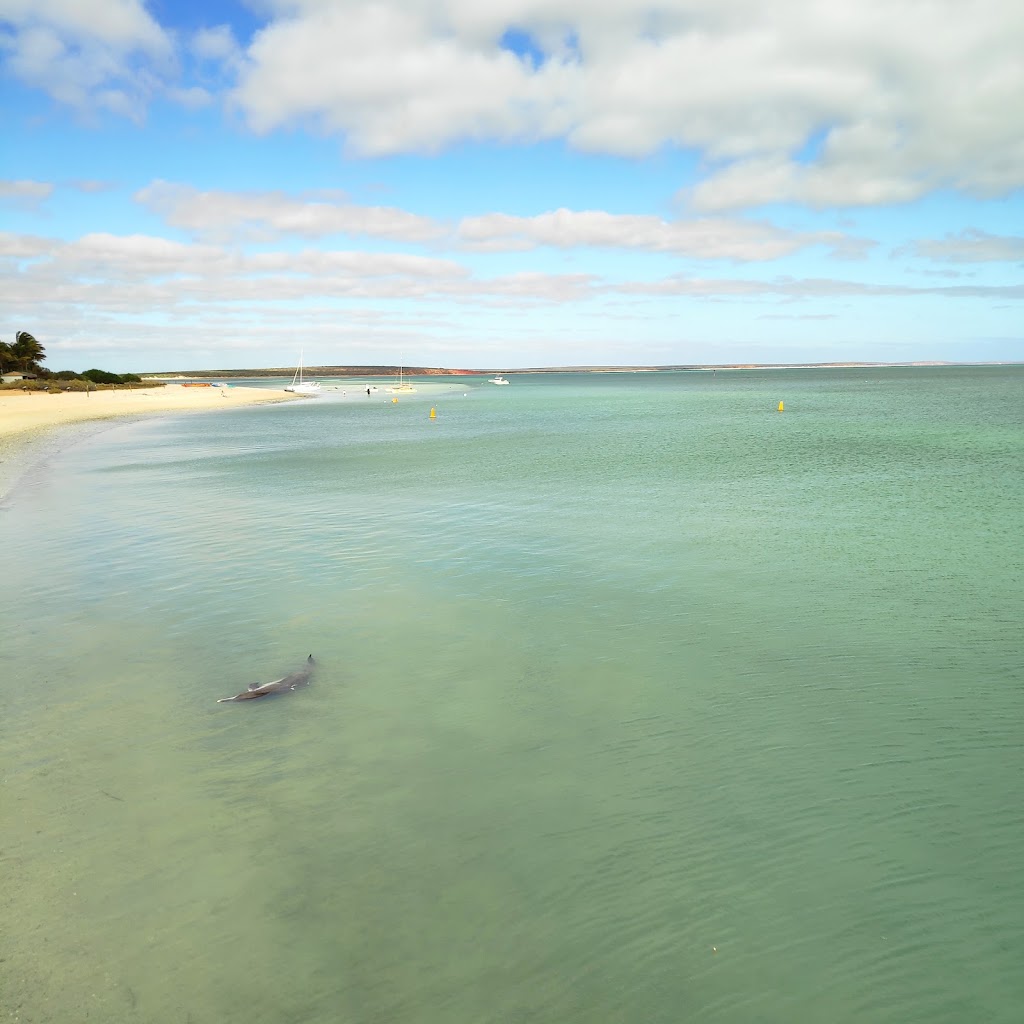 Wildsights Cruises | Jetty WA 6537, Australia | Phone: (08) 9948 1481