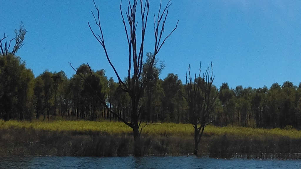 Hamon Cove Recreation Cove | park | Lake Wivenhoe QLD 4312, Australia