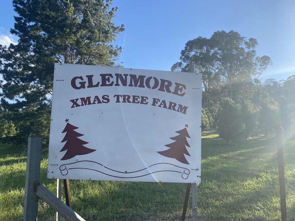 Glenmore Christmas Tree Farm | 669 Mulgoa Rd, Mulgoa NSW 2745, Australia | Phone: 0416 039 672
