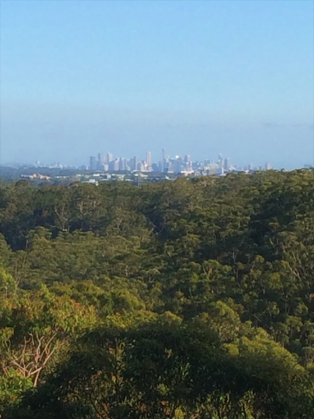 City View Lookout | park | City View Track, Pennant Hills NSW 2120, Australia