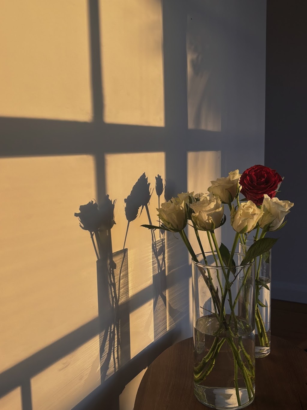 SKINN EDIT | 43 Dunmore Rd, Dunmore NSW 2529, Australia | Phone: 0421 781 963