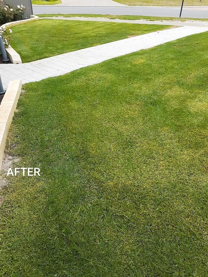 Albany Lawn Mowing |  | 15 Marine Terrace, Little Grove WA 6330, Australia | 0402189688 OR +61 402 189 688