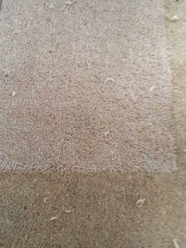 Clean Master Carpet Cleaning Melton West | 92 Westmelton Dr, Melton West VIC 3337, Australia | Phone: (03) 9068 0033