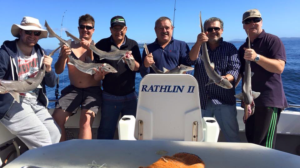 Rathlin II Fishing Charters | Public Jetty, Market St, Merimbula NSW 2548, Australia | Phone: 0428 489 229