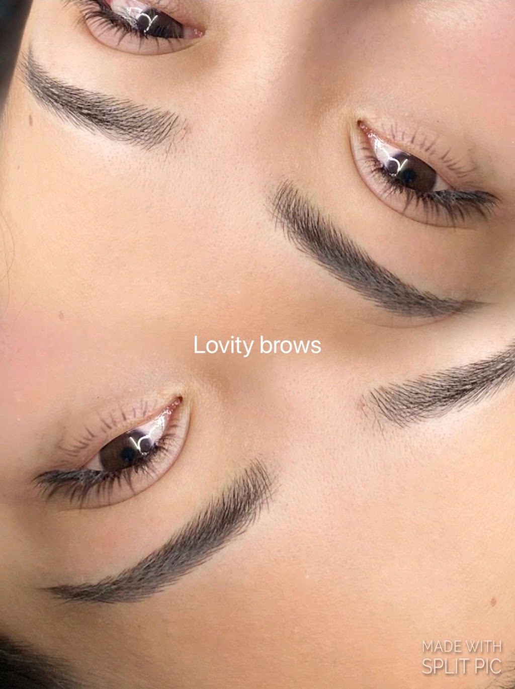 Lovity Brows Artistry | 31 Sherrington Grange, Derrimut VIC 3026, Australia | Phone: 0451 991 609