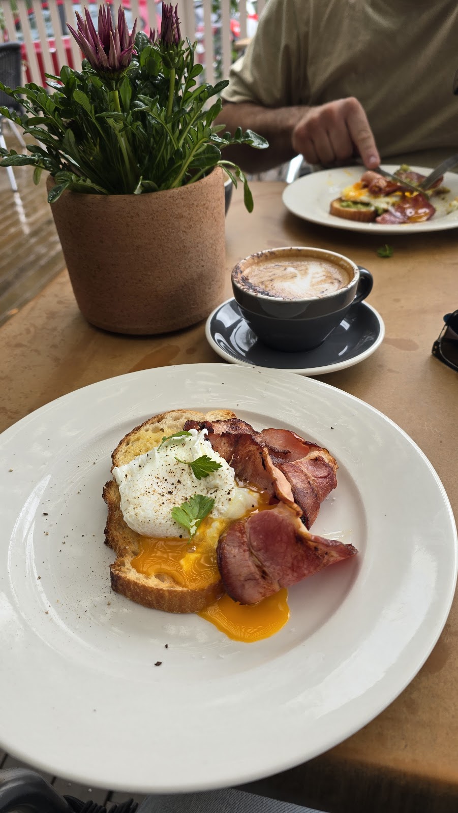 Leafy Latte | 3070 Remembrance Driveway, Bargo NSW 2574, Australia | Phone: (02) 4684 2000