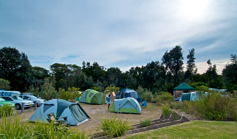 Freemans campground | Freemans Birdie Link Track, Wybung NSW 2259, Australia | Phone: 1300 072 757