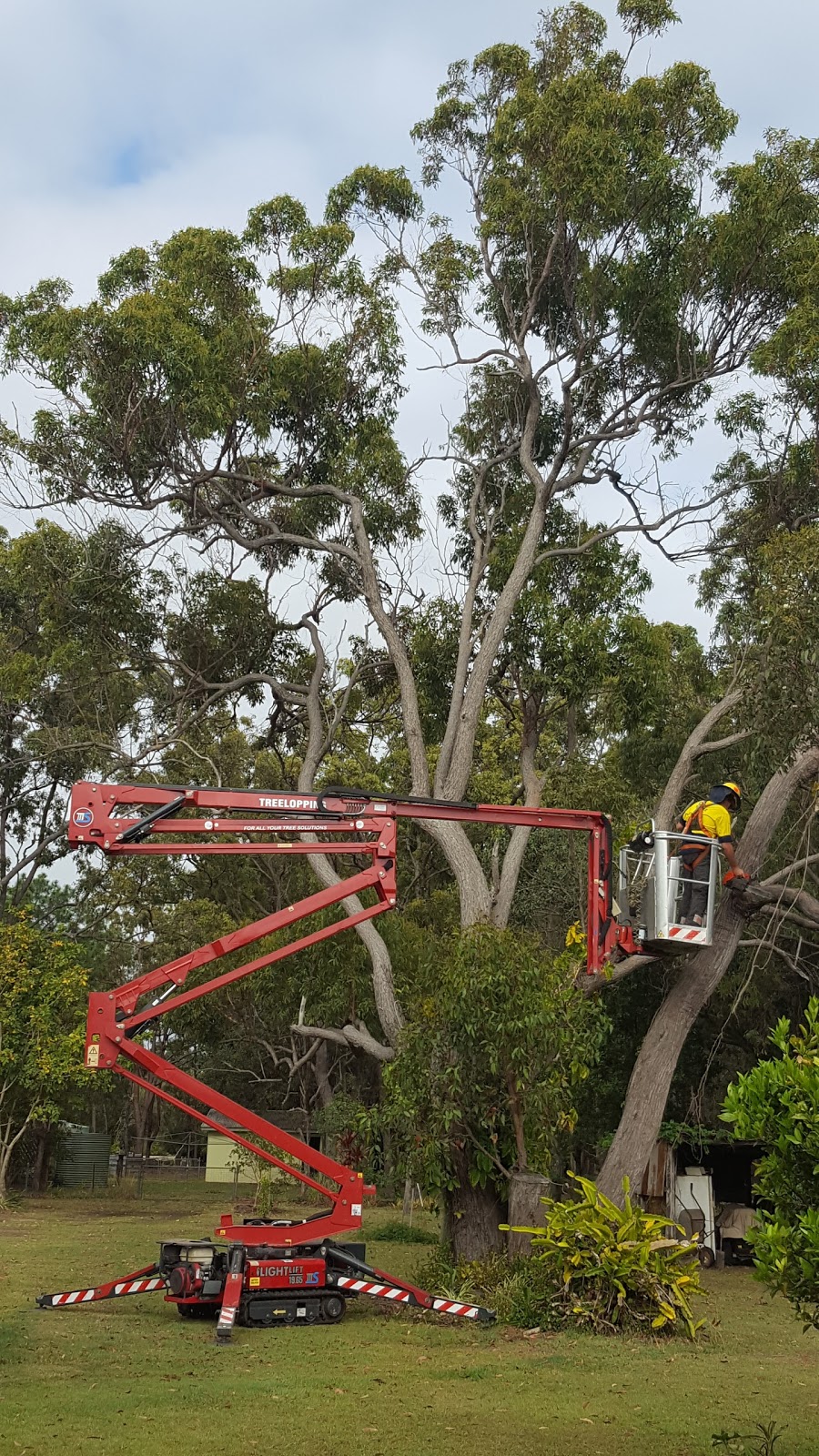 Johns Tree Services | 14 Blackbeauty Ct, Kensington QLD 4670, Australia | Phone: 0448 528 796