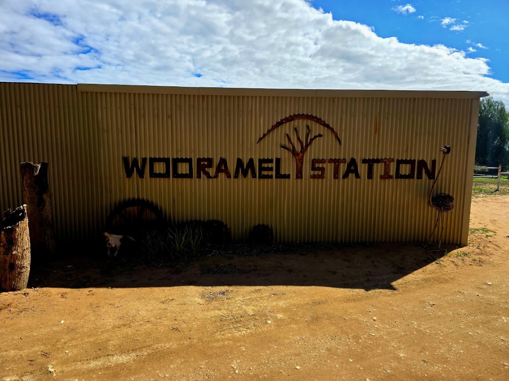Wooramel River Retreat | Wooramel Station NorthWest Coastal Hwy,, Carnarvon WA 6701, Australia | Phone: 0499 425 888