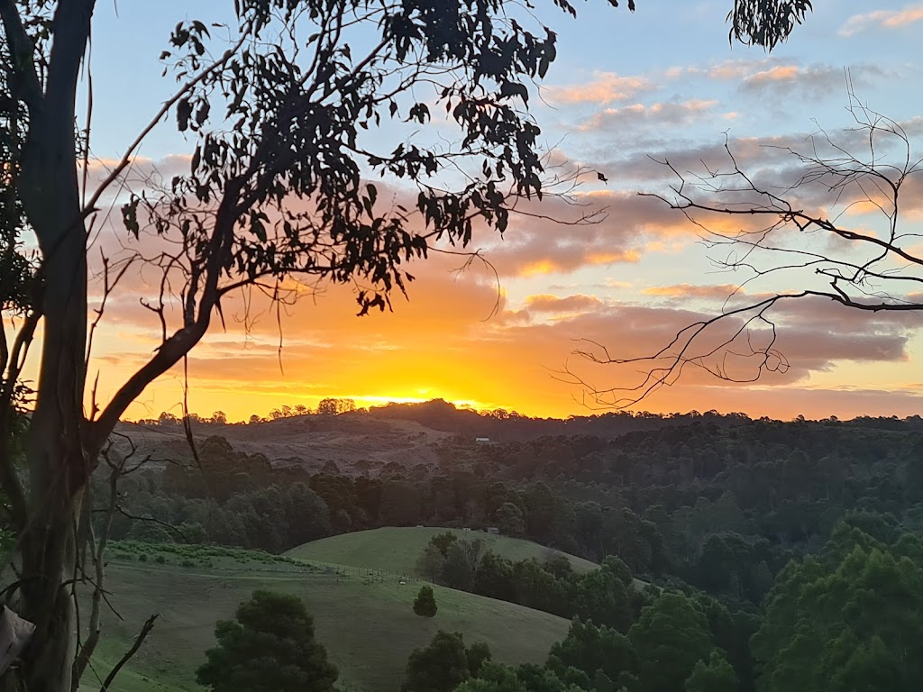 Nippards Nature Cottage | 305 Nippards Track, Woorarra West VIC 3960, Australia | Phone: 0421 043 090