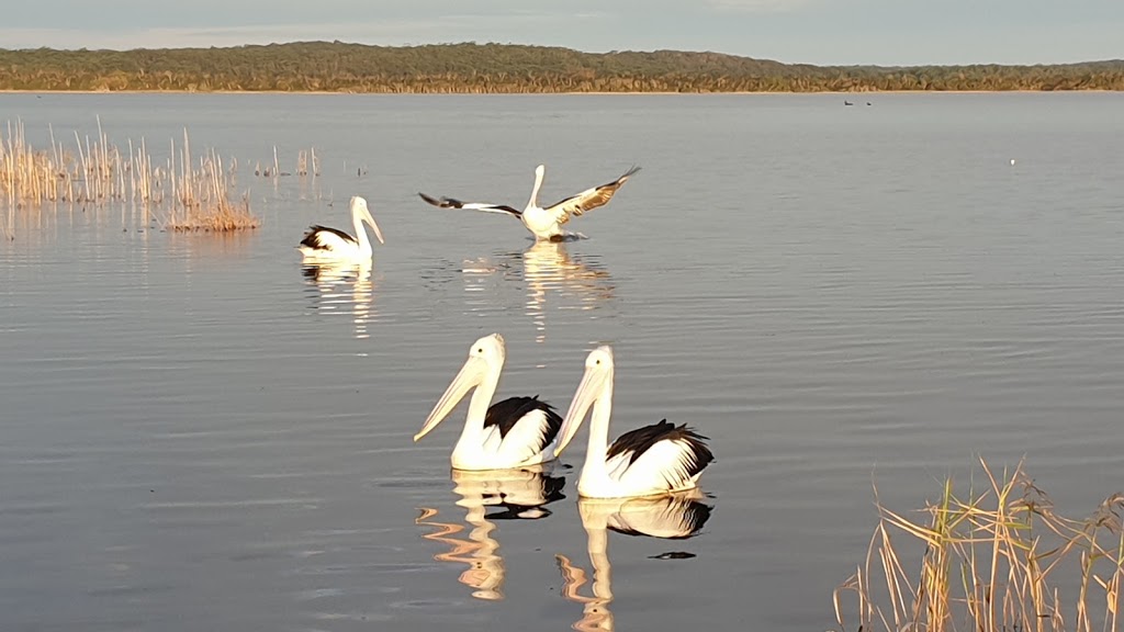 Hooked on the Bemm | lodging | 11 Sydenham Inlet Rd, Bemm River VIC 3889, Australia | 0459124833 OR +61 459 124 833