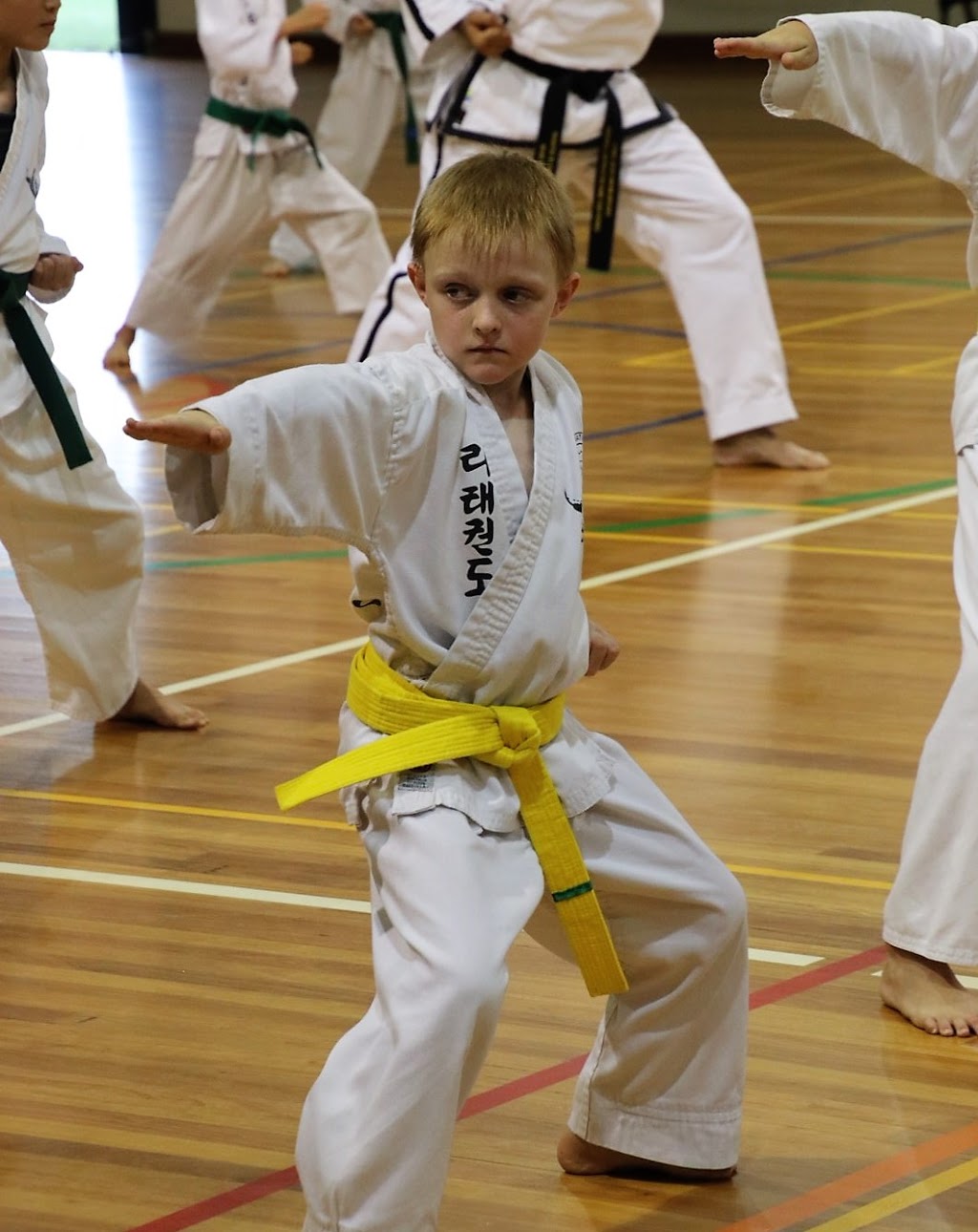 Rhee Taekwondo Redlynch | Redlynch Intake Rd &, Jungara Rd, Redlynch QLD 4870, Australia | Phone: 0455 243 728