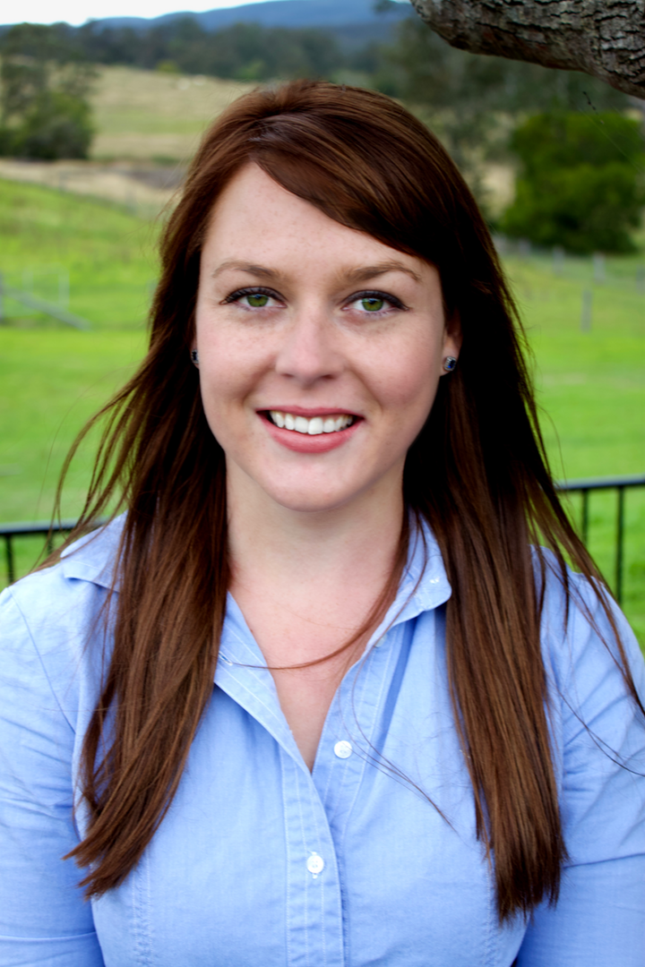 Tailored Town Planning Services | Cowper St, Stroud NSW 2425, Australia | Phone: 0490 084 161
