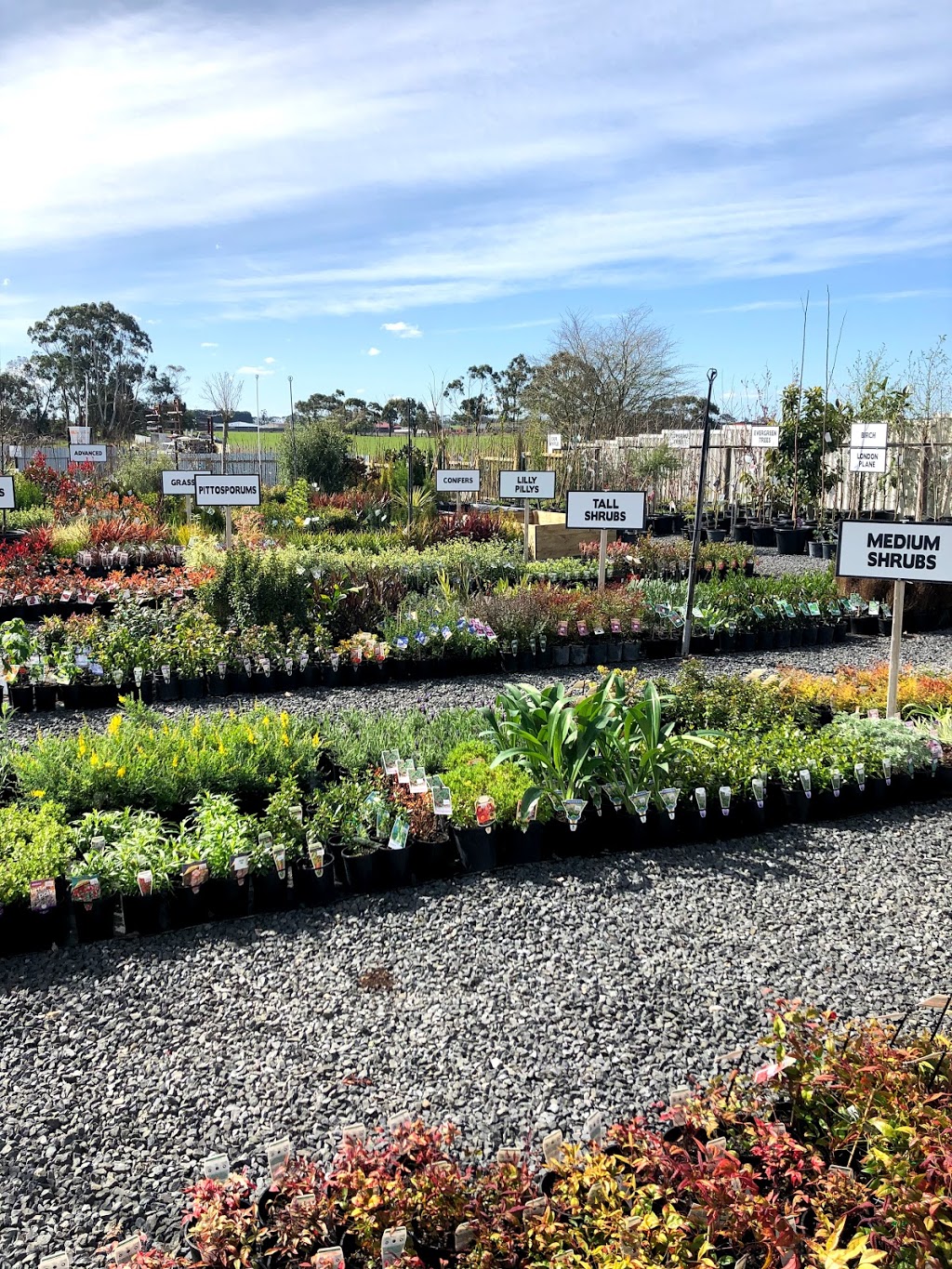 Mount Gambier Garden Centre | 34511 Princes Hwy, Suttontown SA 5291, Australia | Phone: (08) 8723 5744