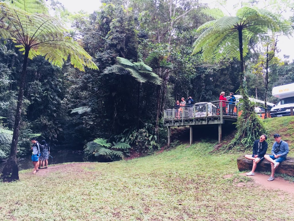 Millaa Millaa Falls | park | Millaa Millaa QLD 4886, Australia