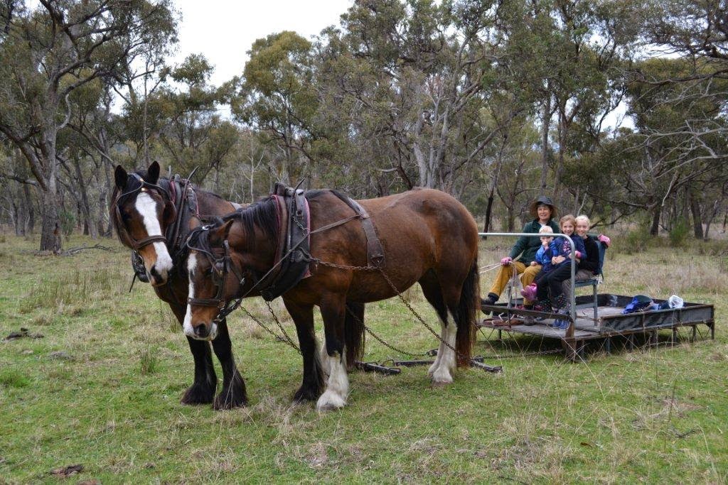 Yarralong B&B and Farm Stay | 2592 Bundarra Rd, Yarrowyck NSW 2358, Australia | Phone: (02) 6775 5581