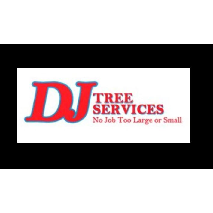 DJ Tree Services |  | 103 Carrington Rd, Torrington QLD 4350, Australia | 0407348721 OR +61 407 348 721
