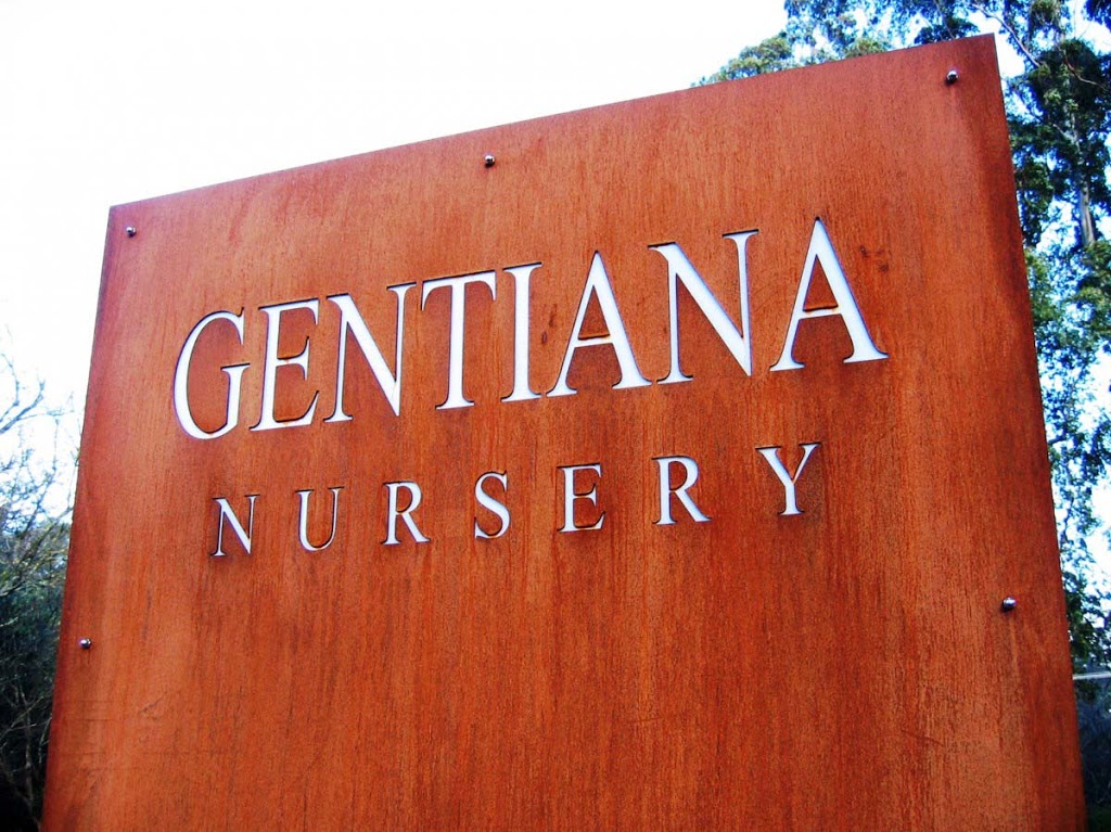 Gentiana Nursery | 138 Olinda-Monbulk Rd, Olinda VIC 3788, Australia | Phone: (03) 9751 2163