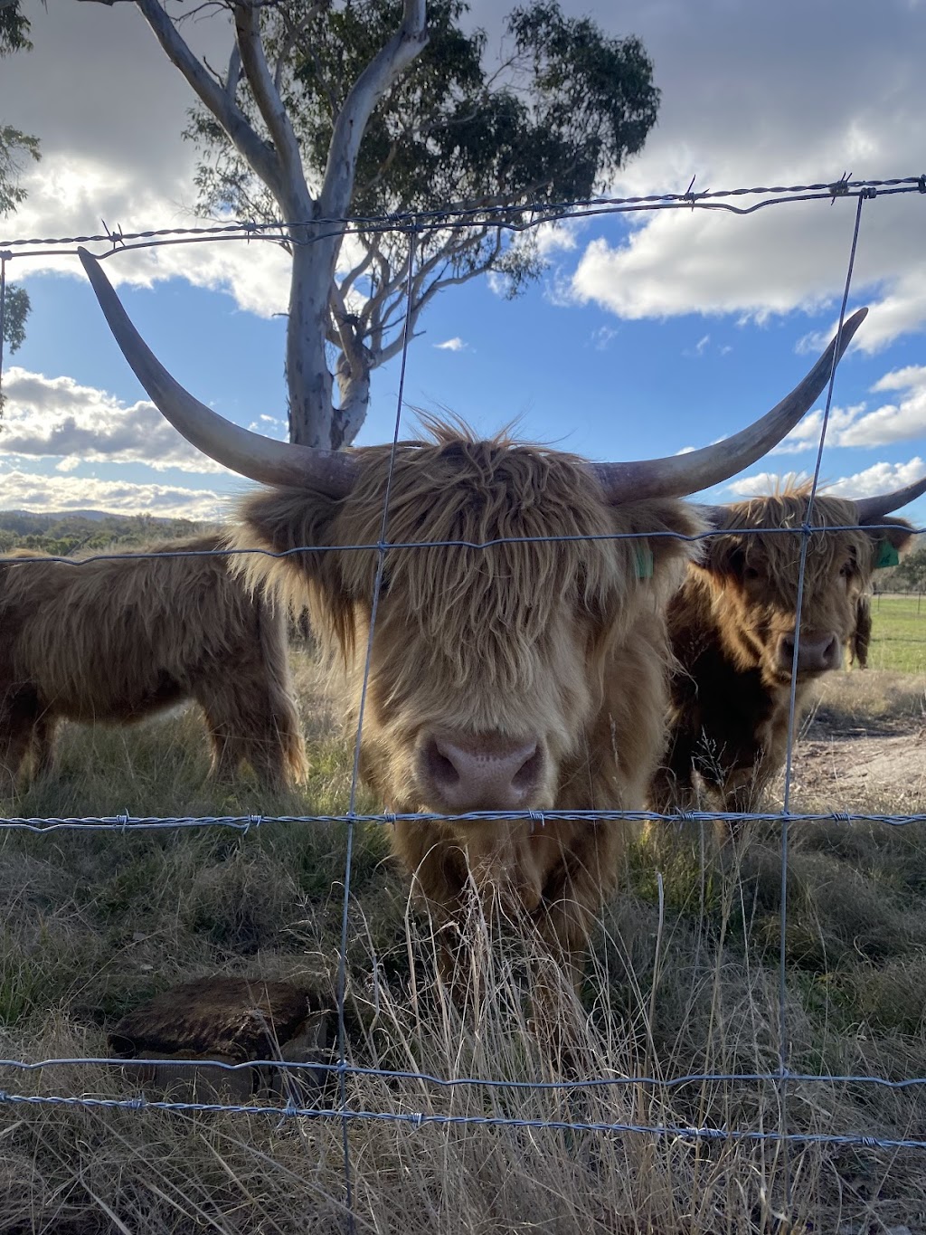 Rock Pool Park | 28064 New England Hwy, Ballandean QLD 4382, Australia | Phone: (07) 5641 0291