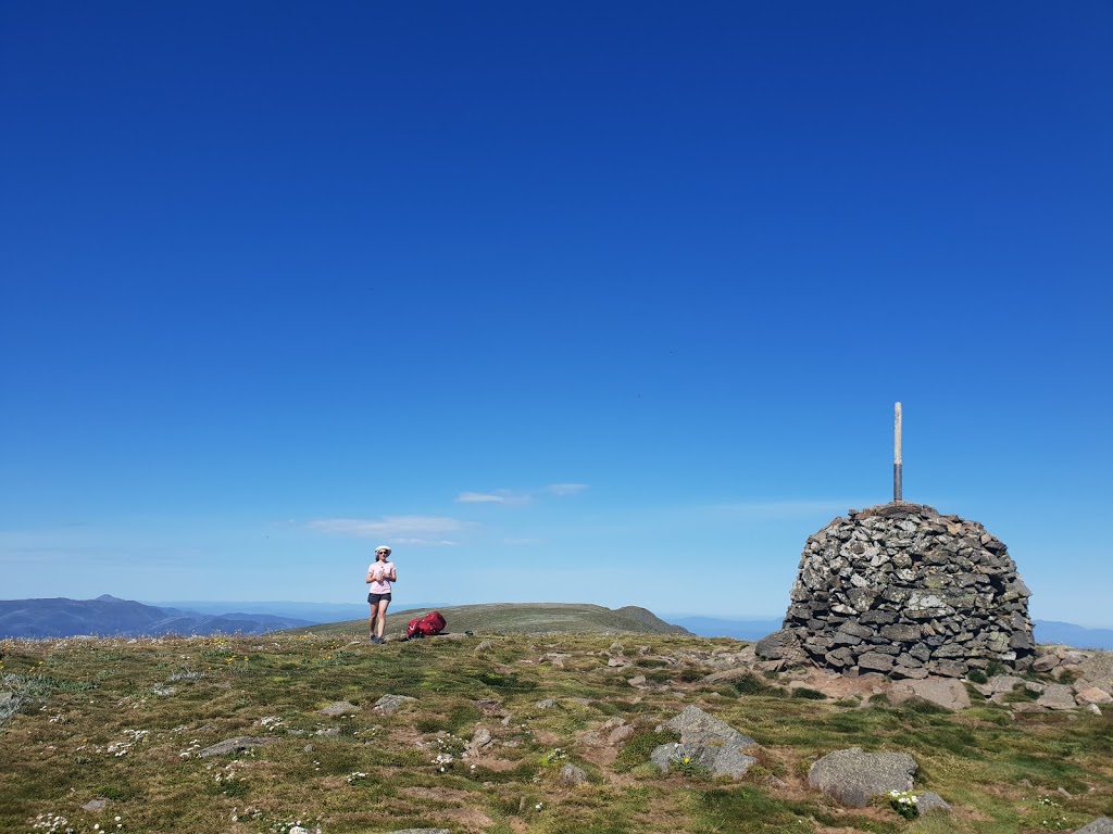 Mt Bogong | park | Nelse VIC 3699, Australia