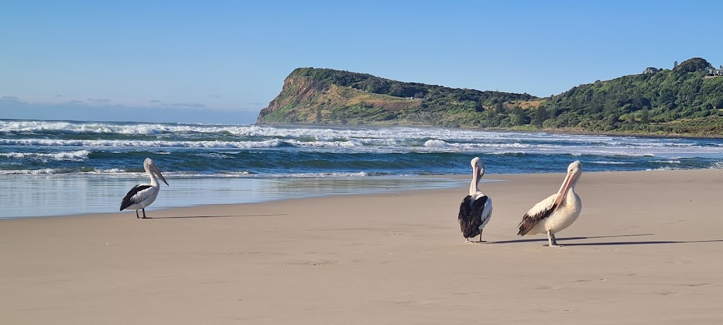 Lennox Web | 46a Habitat Way, Lennox Head NSW 2478, Australia | Phone: 0421 041 754 Lennox Web | 46a Habitat Way, Lennox Head NSW 2478, Australia | Phone: 0421 041 754