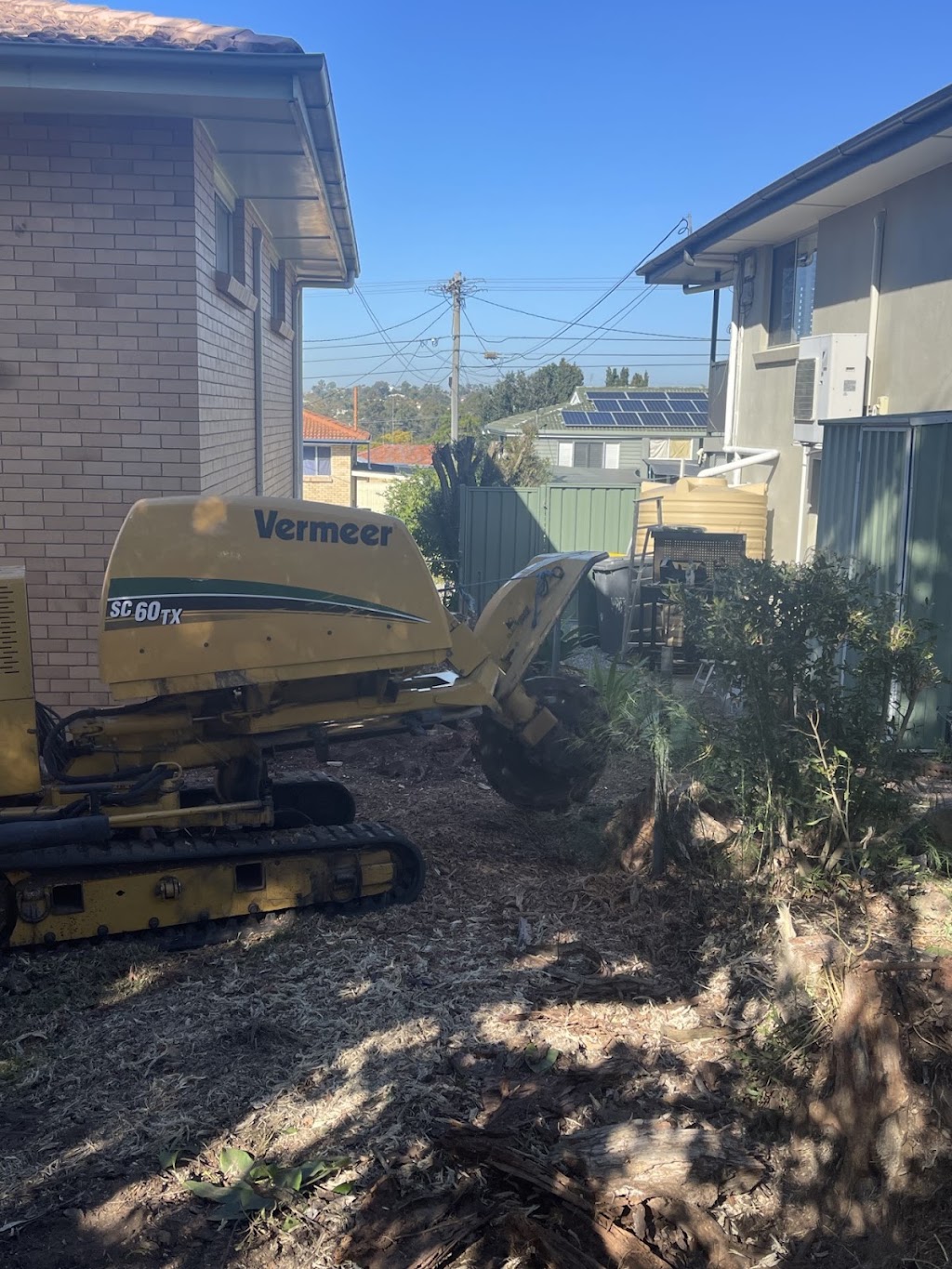 TBS Trees VIC | 152 Taylor St, Ascot VIC 3551, Australia | Phone: 0498 609 887