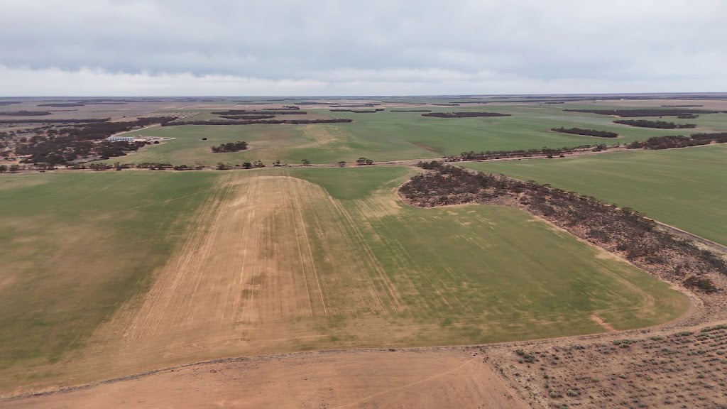 Bundaberg Stockfeeds | 138 Enterprise St, Norville QLD 4670, Australia | Phone: (07) 4153 3200