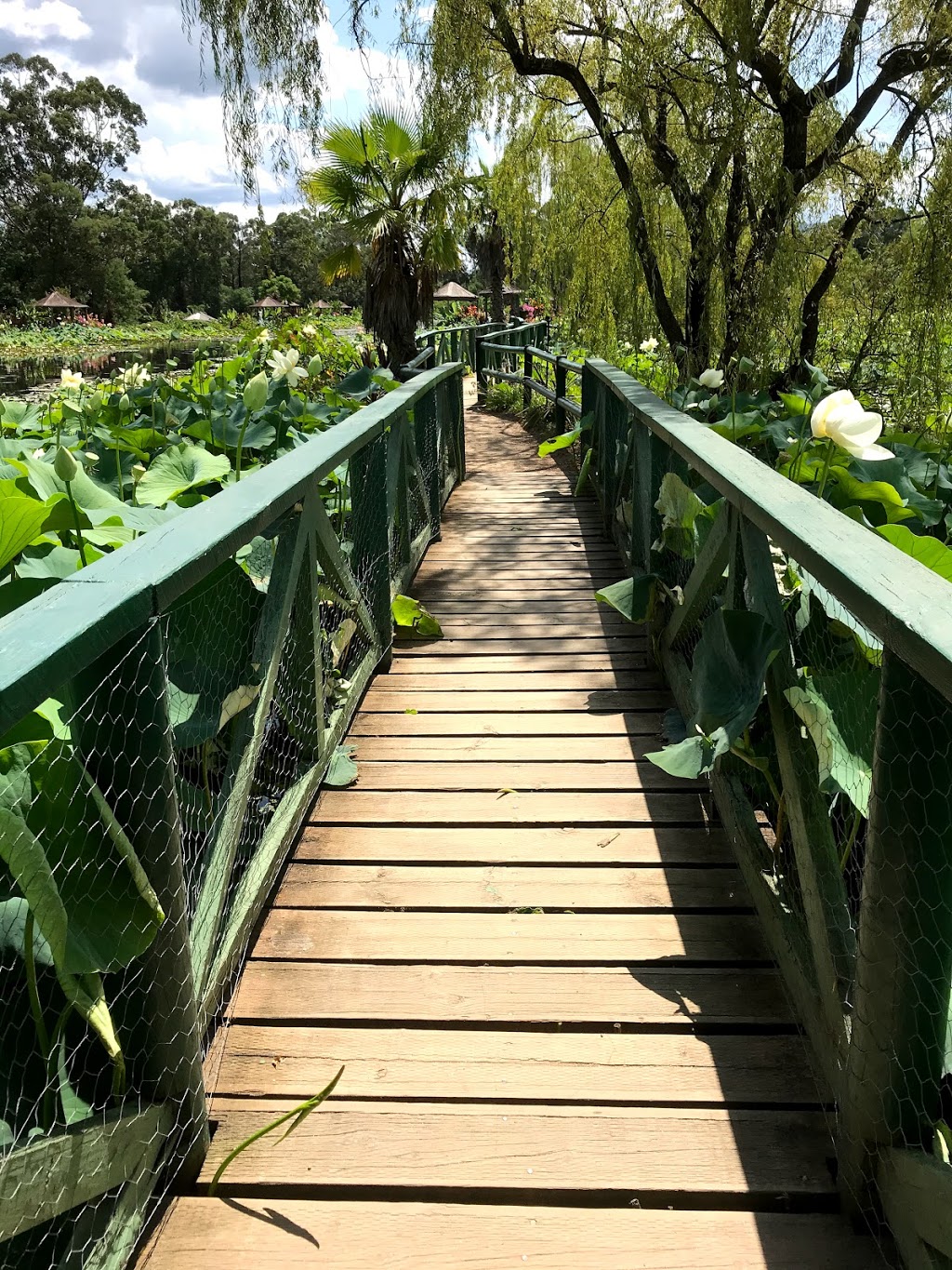 Blue Lotus Water Garden | park | Yarra Junction VIC 3797, Australia