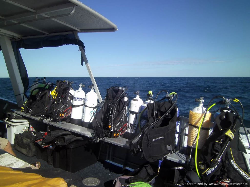 Xtremedive - diving perth | school | 14 Emerson Turn, Perth WA 6030, Australia | 0431605779 OR +61 431 605 779