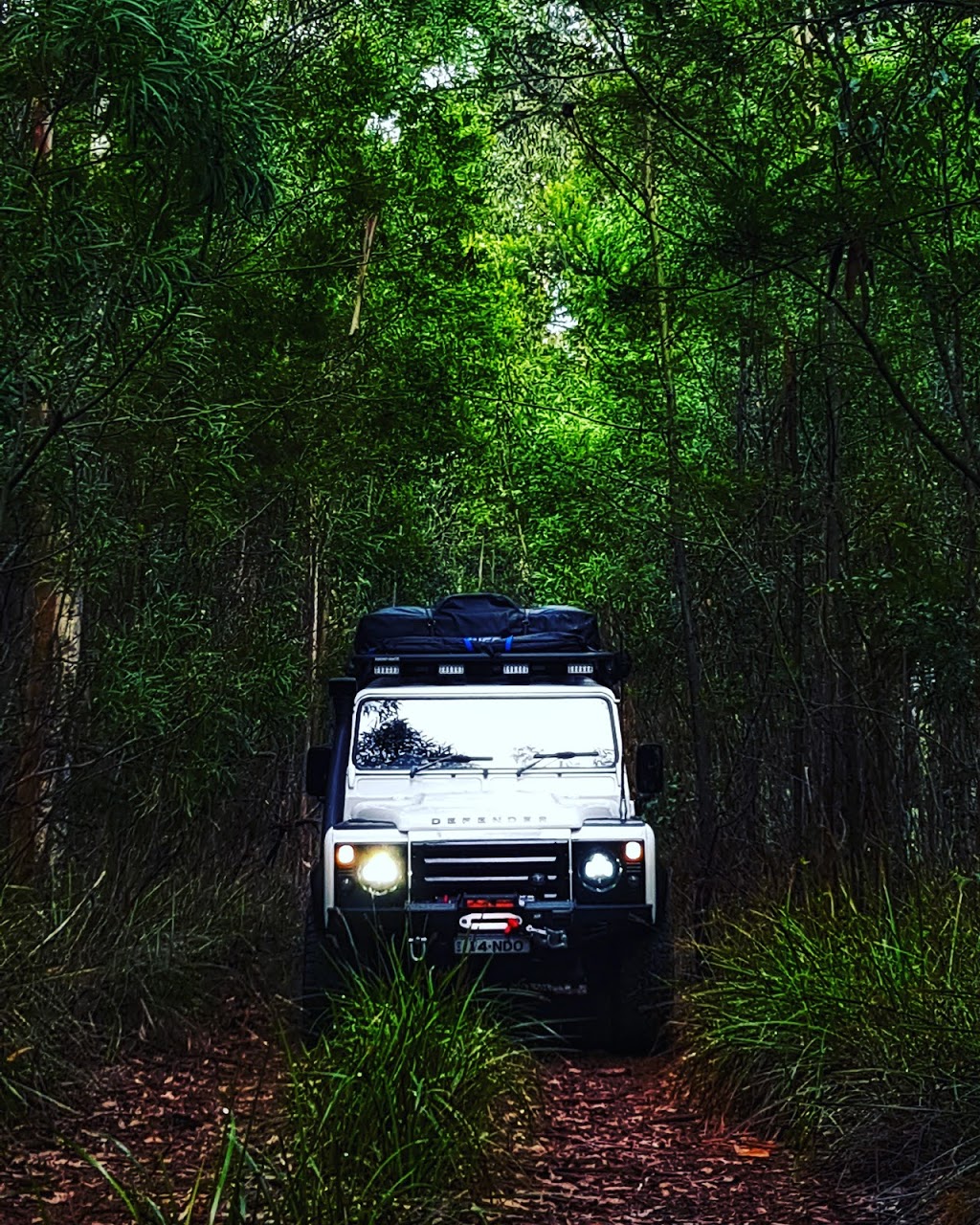 Termeil State Forest | park | Termeil NSW 2539, Australia