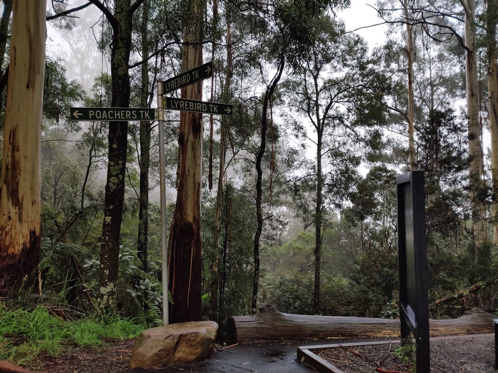 Kokoda Memorial Walk (The Thousand Steps) | park | Lyrebird Track, Tremont VIC 3785, Australia