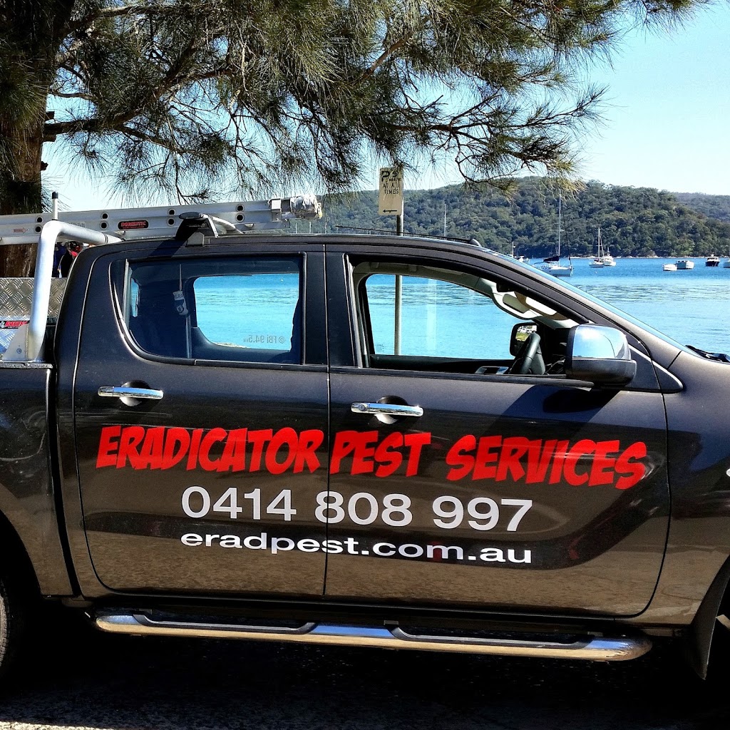 Northern Beaches Pest Control. Eradicator Pest Services. | home goods store | 31-33 Sturdee Parade, Dee Why NSW 2099, Australia | 0414808997 OR +61 414 808 997