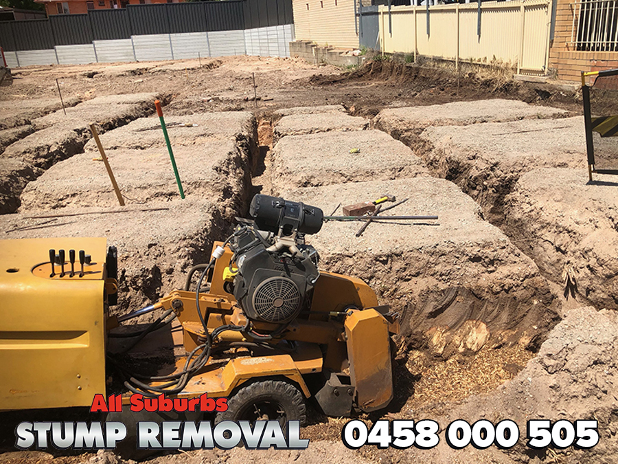 All Suburbs Stump Removal | park | Unit 18/1596 Main N Rd, Brahma Lodge SA 5109, Australia | 0458000505 OR +61 458 000 505