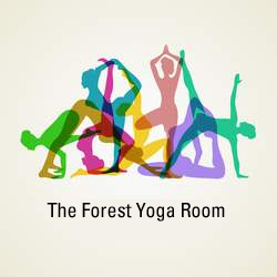 The Forest Yoga Room | gym | 43 Dundilla Rd, Frenchs Forest NSW 2086, Australia | 0294513519 OR +61 2 9451 3519