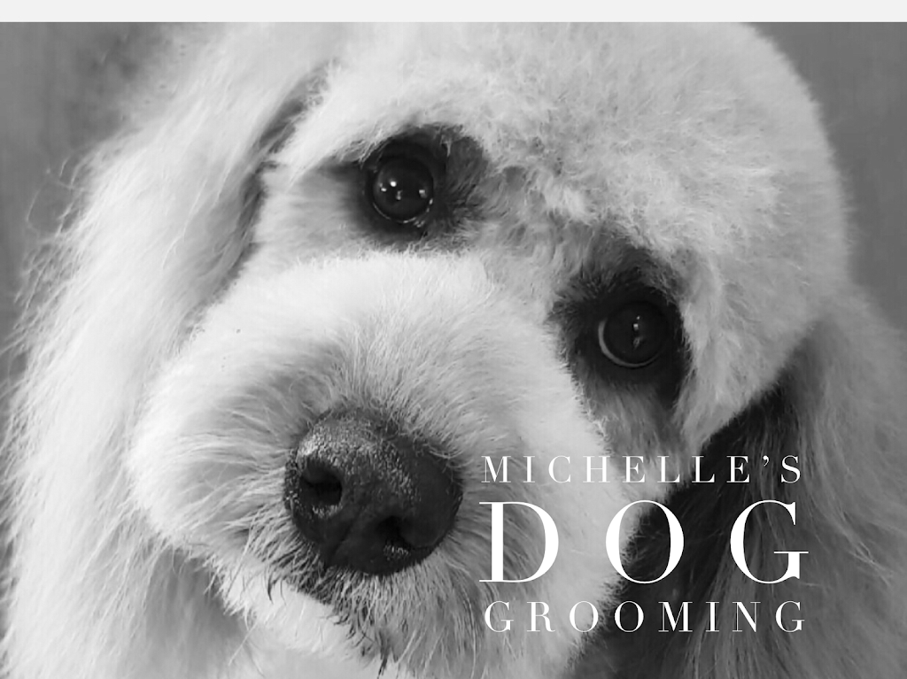 Michelles Dog Grooming | 363 Cabbage Tree Rd, Williamtown NSW 2318, Australia | Phone: 0403 262 099