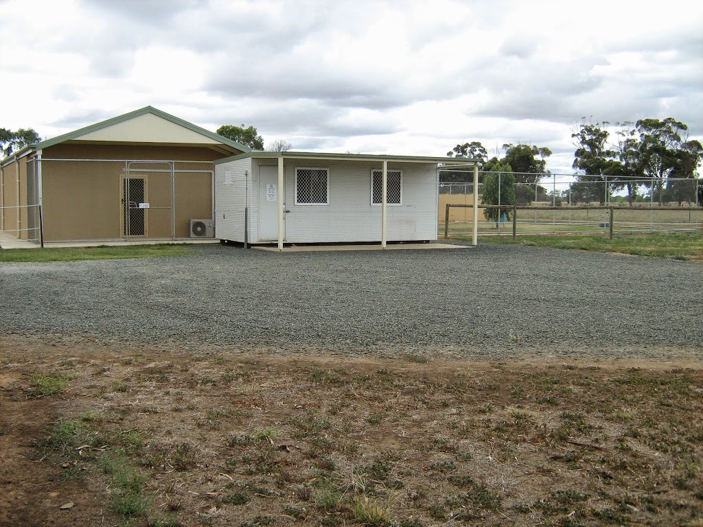 Echuca K9 Kondos Boarding Kennel | 139 Echuca West School Rd, Echuca VIC 3564, Australia | Phone: (03) 5480 7273