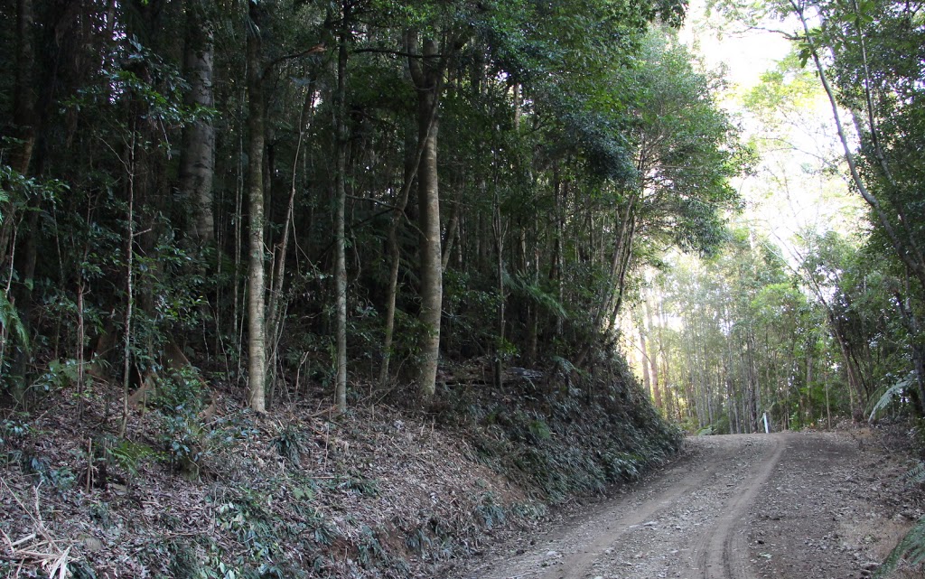 Gumbaynggirr National Park | Killiekrankie NSW 2449, Australia