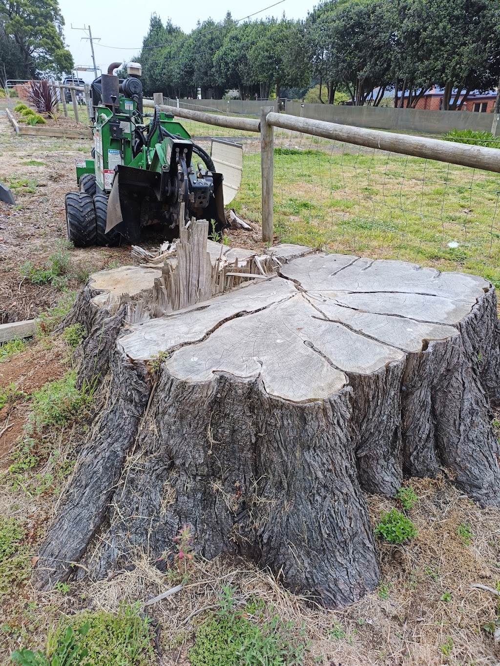 The Stump Grinder Man | Beaconsfield-Emerald Rd, Emerald VIC 3782, Australia | Phone: 0409 331 122