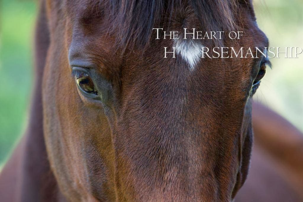 The Heart of Horsemanship | health | 37 Millbrook Cl, Jarrahdale WA 6124, Australia | 0414221302 OR +61 414 221 302
