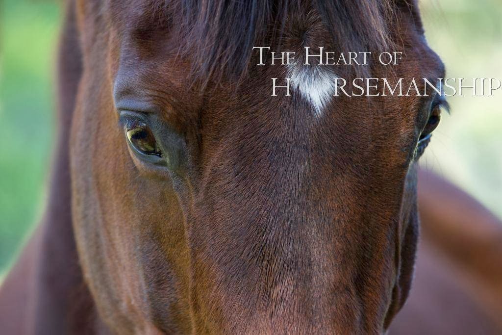 The Heart of Horsemanship | 37 Millbrook Cl, Jarrahdale WA 6124, Australia | Phone: 0414 221 302