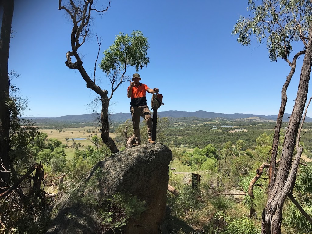 Boss Tree Services - Brisbane Tree Maintenance & Removals | 59-61 Granger Rd, Park Ridge QLD 4125, Australia | Phone: (07) 3133 3199