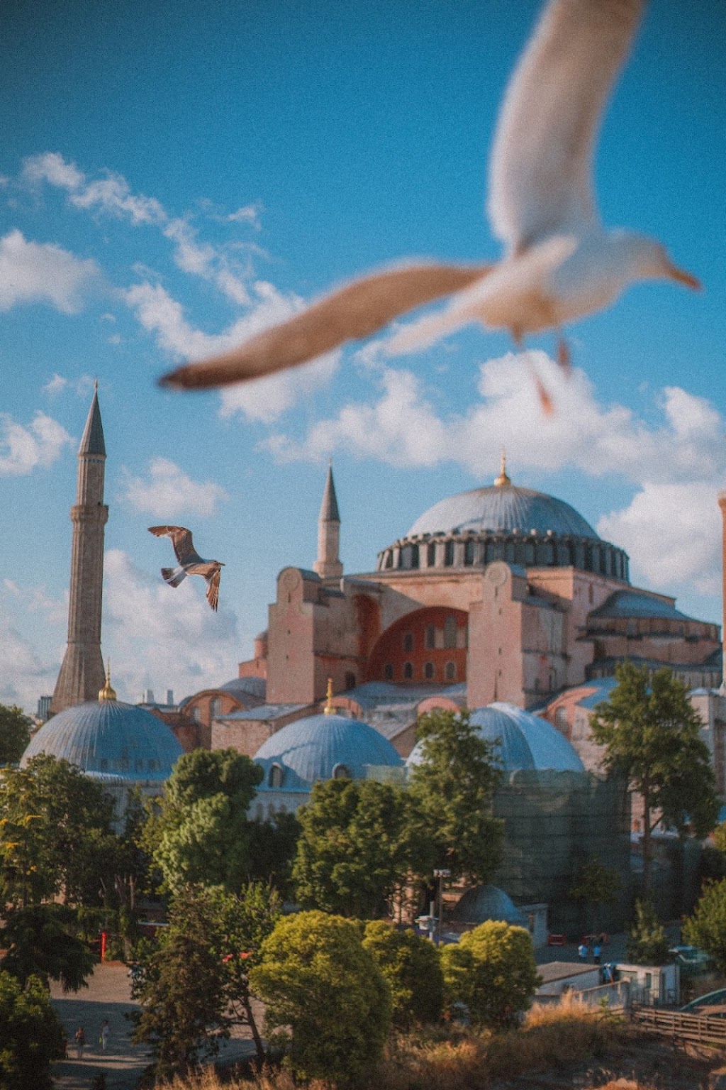 Farrow | Hobart Photography | Long Point Rd, Sandy Bay TAS 7005, Australia | Phone: 0426 950 458