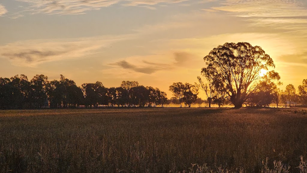 Pianta Road camp grounds | 20 Stokes Ln, Echuca VIC 3564, Australia | Phone: 0468 747 472