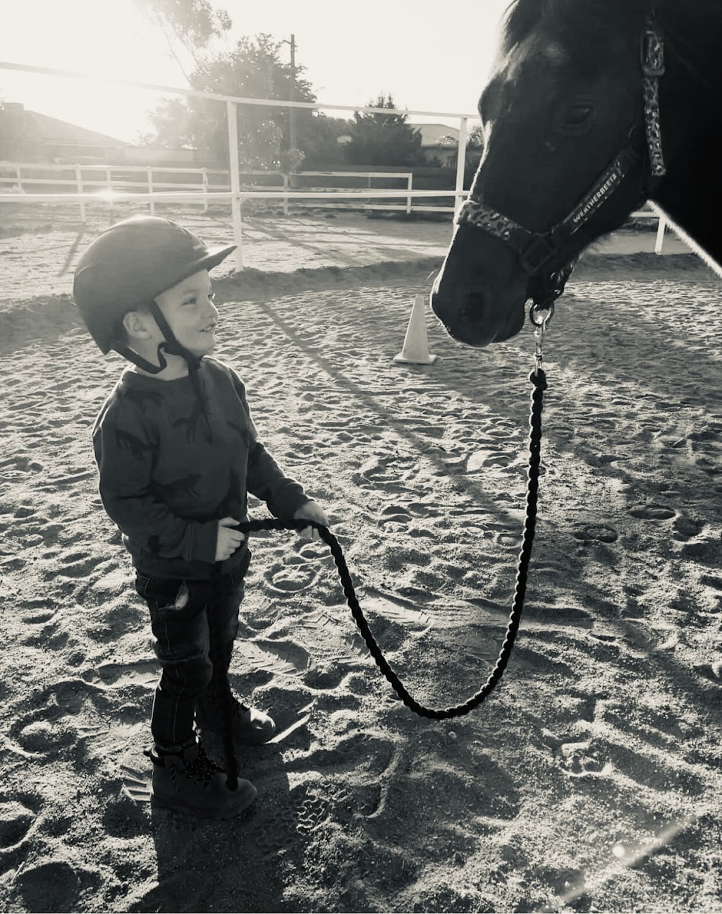 Silver City Riding Academy | 385 Brookfield Ave, Broken Hill NSW 2880, Australia | Phone: 0422 054 828